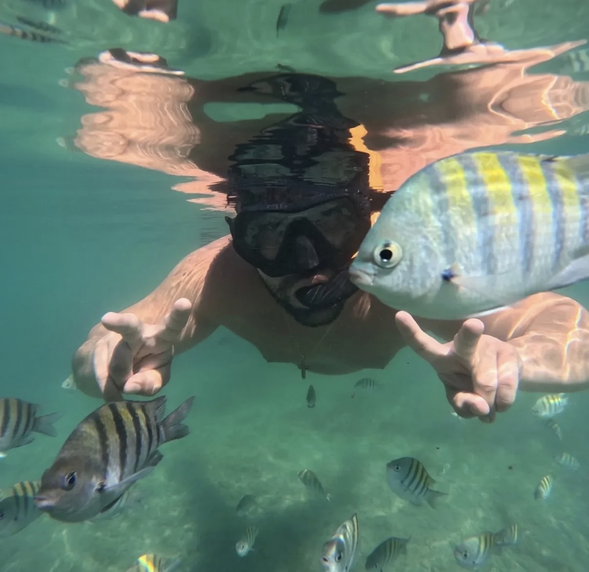 Passageiro mergulhando ao lado de peixes